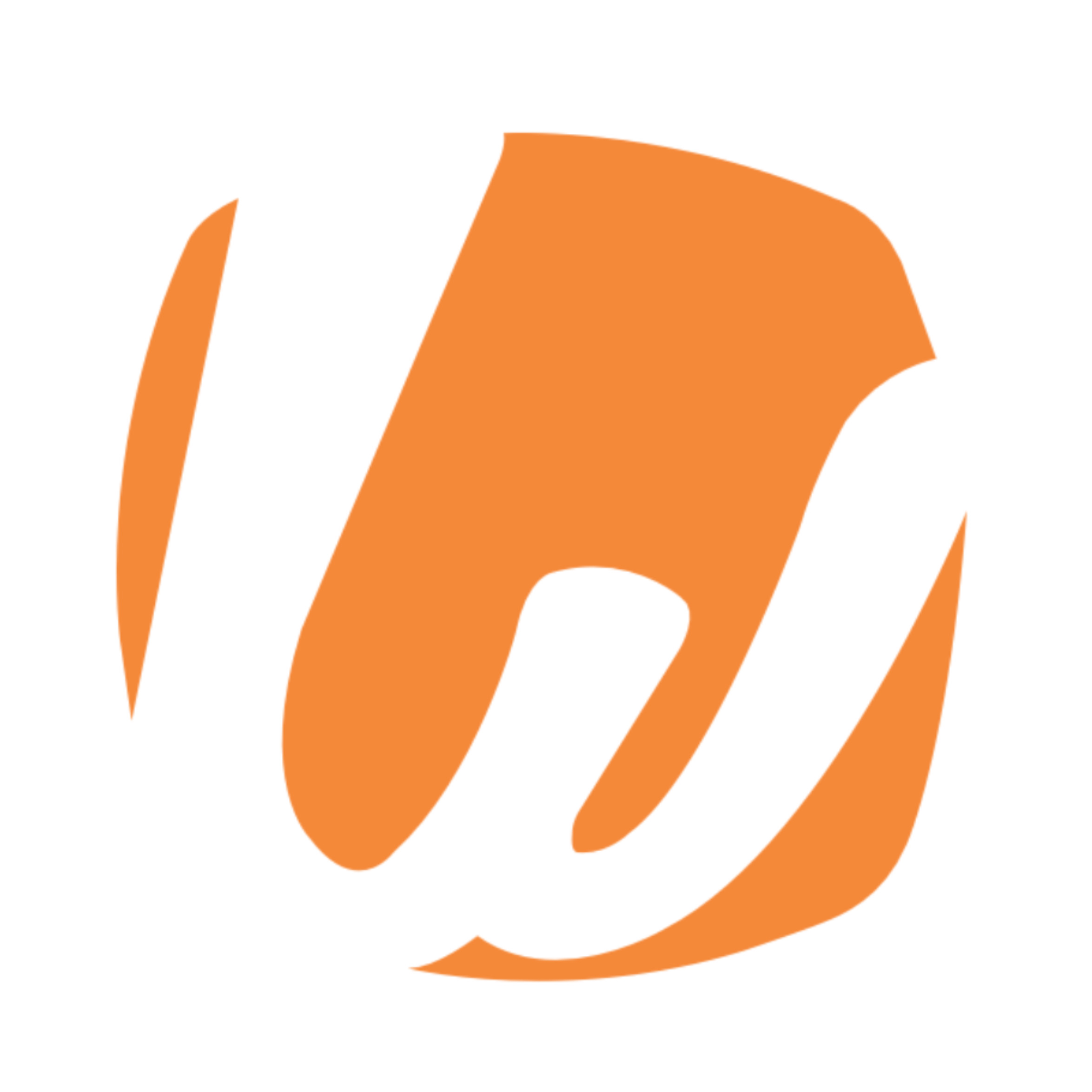 Whois.com