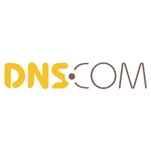 帝恩斯-DNS.COM